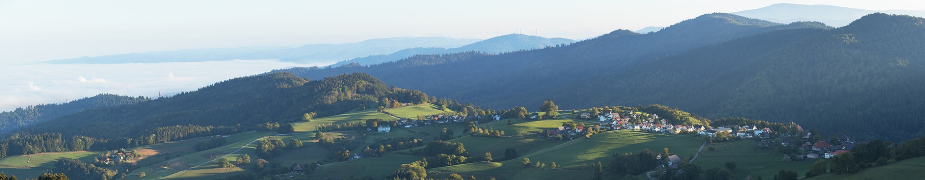 Studio f�r Fitness und Gesundheit in Bonndorf im Schwarzwald - Mein Studio im Zentrum GmbH - Coaching 